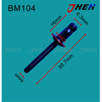 BM104 Auto Blind Rivets 10 Pcs in 1 Pack Fits BMW Models