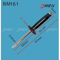 BM161 Auto Blind Rivets 10 Pcs in 1 Pack Fits BMW Models