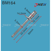 BM164 Auto Blind Rivets 10 Pcs in 1 Pack Fits BMW Models