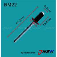 BM22 Auto Blind Rivets 10 Pcs in 1 Pack Fits BMW Models