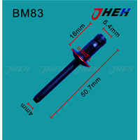 BM83 Auto Blind Rivets 10 Pcs in 1 Pack Fits BMW Models