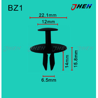 BZ1 Car Trim Clips 10 Pcs in 1 Pack Fits Peugeot Models