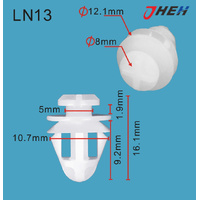 LN13 Car Trim Clips 10 Pcs in 1 Pack Fits Ranoult Models