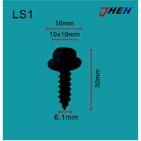 LS1 Auto Body Screws 10 Pcs in 1 Pack Fits Various Models