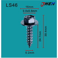 LS46 Auto Body Screws 10 Pcs in 1 Pack Fits Various Models