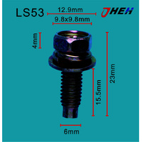 LS53 Auto Body Screws 10 Pcs in 1 Pack Fits Various Models