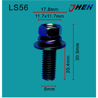 LS56 Auto Body Screws 10 Pcs in 1 Pack Fits Various Models